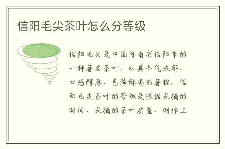 信阳毛尖茶叶怎么分等级(信阳毛尖茶叶等级划分标准)